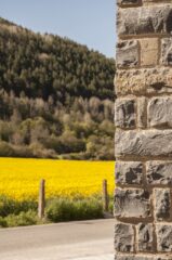 Viviendas en Villanúa